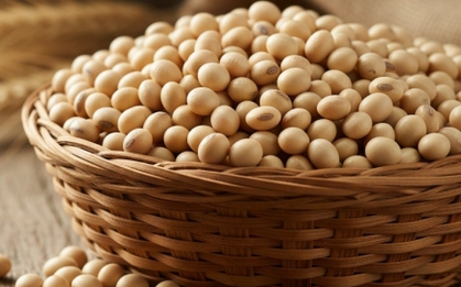 Sai lầm cần tránh khi uống sữa đậu nành