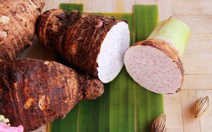 Loại củ là "báu vật" của mùa thu: Chợ bán quanh năm, ăn nhiều bổ phổi, dễ thở, mềm da