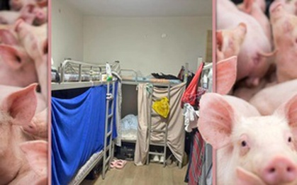 Cảnh sống chen chúc trong căn hộ 'như chuồng heo' ở Singapore gây vỡ mộng