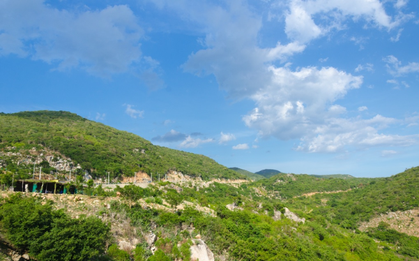 Việt Nam có rừng thuộc dạng quý hiếm ở Đông Nam Á, cả nước chỉ có 1, ngay gần Nha Trang, Phan Thiết