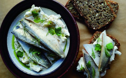 Loại cá mang lại sự trường thọ: Người Nhật rất thích ăn, biển Việt Nam rất sẵn, giá lại rẻ