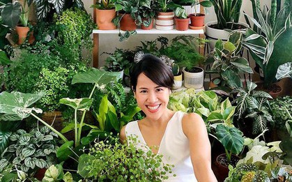 Giá không đắt nhưng 5 loại cây này là mệnh danh “lá bùa giữ của” cho gia chủ tuổi trung niên