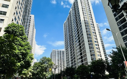 Kiến trúc sư 18 năm kinh nghiệm tiết lộ: 3 kiểu căn hộ này là "vàng ròng", càng ở càng sướng, bán lại lời gấp đôi