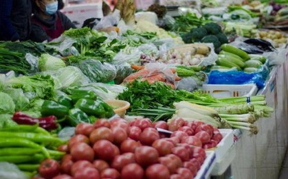 4 loại rau củ không thuốc trừ sâu, bạn đi chợ cứ yên tâm MUA