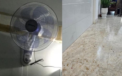 Trời nồm có nên bật quạt số to liên tục để làm khô nhà? Giải thích của chuyên gia gây bất ngờ