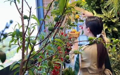 Khu vườn 6m2 khiến trăm nghìn người theo dõi vì quá "chữa lành"