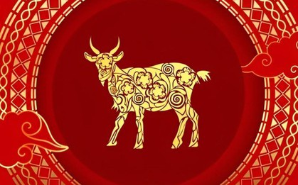 Tổng quan tử vi tuổi Mùi năm 2026