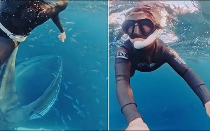 "Thủy quái" khổng lồ bất ngờ lao đến dưới biển sâu: Thợ lặn suýt bị nuốt chửng trong tích tắc