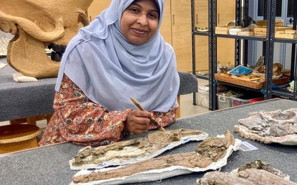 Quái vật 80 triệu tuổi "trỗi dậy" ở  Ai Cập