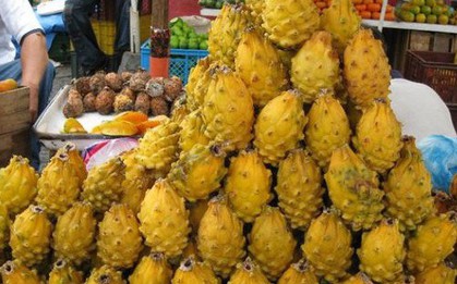 Việt Nam sở hữu 'siêu trái cây' khiến người Trung Quốc siêu mê: xuất khẩu số 1 thế giới, diện tích trồng hơn 55.000 ha