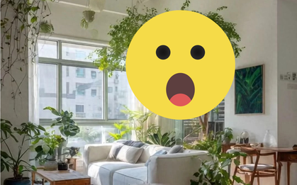 Bức ảnh chụp phòng khách viral MXH: Cảm giác "chữa lành" quá mạnh mẽ