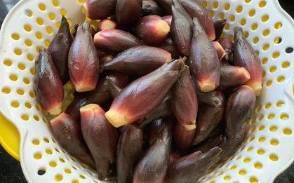 Loại rau người Nhật coi như "nhân sâm châu Á": Mọc đầy Việt Nam nhưng ít người biết