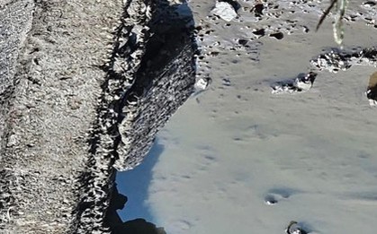 Phát hiện bộ hài cốt trong ao nuôi cá của người dân Hải Phòng