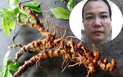 Bắt tạm giam Trương Thị An