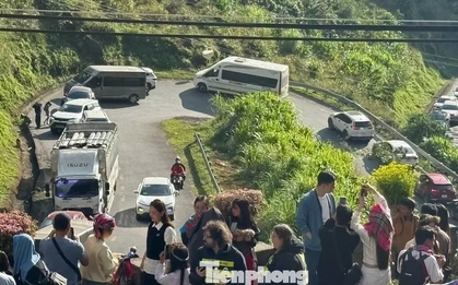 Đường kẹt cứng, khách sạn 'cháy' phòng mùa hoa tam giác mạch