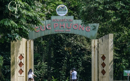 Phát hiện bộ xương 7.500 tuổi trong rừng Cúc Phương, chuyên gia hé lộ bí ẩn về người Việt