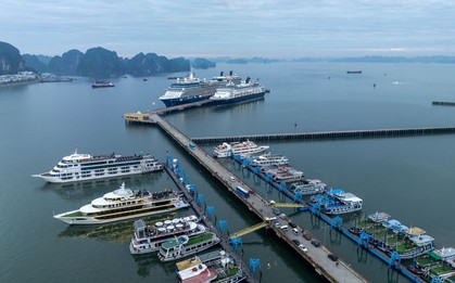 Khung cảnh ở Hạ Long ngay lúc này khiến nhiều người tò mò, nhận xét: "Ở đây đang thực sự có gì?"