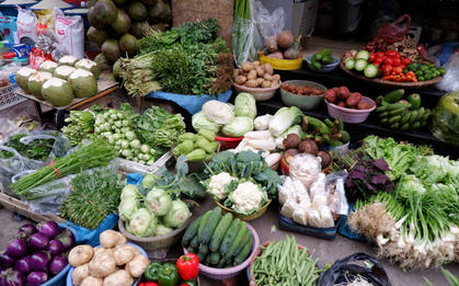 4 loại rau ít “ngậm” thuốc trừ sâu nhất chợ, phòng đột quỵ, ngừa ung thư: Nếu thấy nhớ mua ngay!