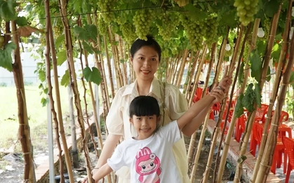 Uống cà phê xem cừu giữa vườn nho trĩu quả ở TPHCM