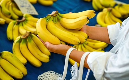 Chuối tươi lâu suốt 26 ngày khi được bảo quản theo cách này: Không phải bọc cuống