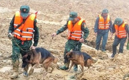 Toàn cảnh vụ sạt lở núi kinh hoàng ở Đà Nẵng khiến 3 người mất tích