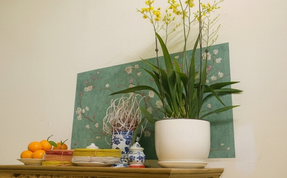 Đặt chậu hoa lên bàn thờ: Đẹp hay đại kỵ? Chuyên gia nói câu này khiến ai cũng giật mình