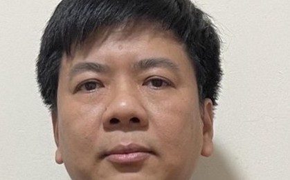 Thủ đoạn 'thổi' vốn điều lệ từ 32 tỷ lên gần 1.000 tỷ đồng của Shark Thuỷ