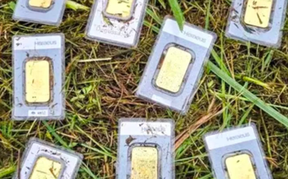 Phát hiện 10 thỏi vàng khi đang cắt cỏ, trị giá lên đến hơn 1 tỷ đồng