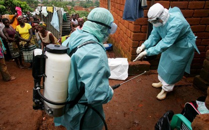 Một quốc gia xác nhận virus gây tỷ lệ tử vong đến 80% lại bùng phát