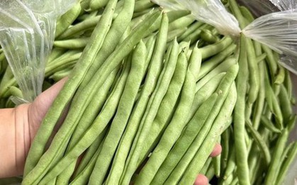 Thứ rau quả chính vụ mùa đông, ăn là "nghiền", thúc đẩy xương chắc khỏe, tăng cường chức năng miễn dịch