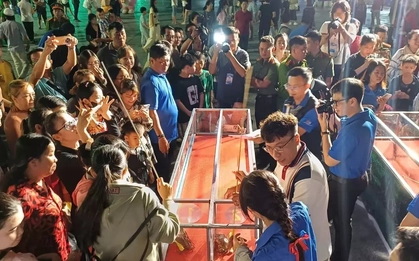 Độc lạ Cà Mau: Chen chân xem 'đua cua'