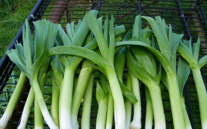 8 loại rau mà người Nhật ăn mỗi ngày, càng ăn càng khỏe, sống lâu: Ở chợ Việt mua rất dễ