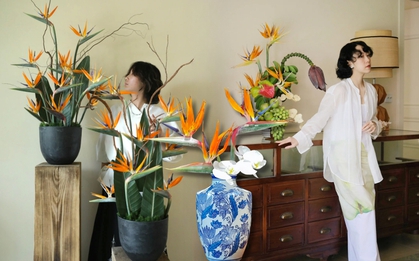 Hoa thiên điểu “đổ bộ” phòng khách ngày Tết: Nhìn là thấy giàu, cắm một lần là nghiện