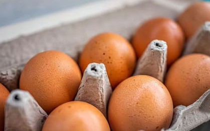 Quy tắc 30 phút ai cũng cần biết khi lấy trứng ra khỏi tủ lạnh