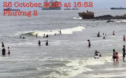 Vụ nước biển Vũng Tàu có màu xanh lá: Công bố nguyên nhân chính thức