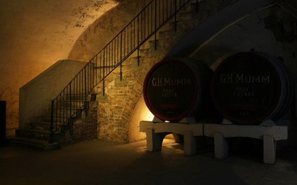 Bé gái 13 tuổi mất tích được tìm thấy trong chiếc hộp phủ vải ở tầng hầm một ngôi nhà