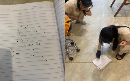 Sốc: 60 con chấy bò ra từ mái tóc của "girl phố" 2k4, tiệm gội đầu phải tổng vệ sinh sau khi tiễn khách