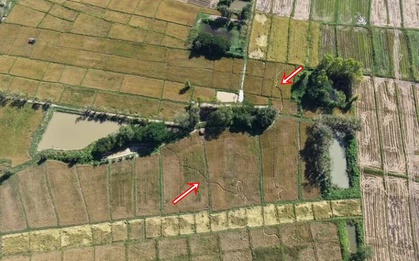 Cánh đồng gần chùa bỗng đổi dạng trong một đêm, dân làng xôn xao "chưa từng thấy bao giờ"