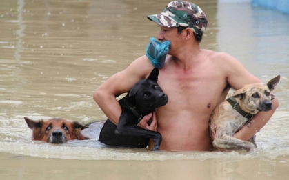 Lũ dâng đến bụng, người đàn ông ở Nha Trang vẫn ôm 3 chú chó không rời: Khoảnh khắc gây bão MXH