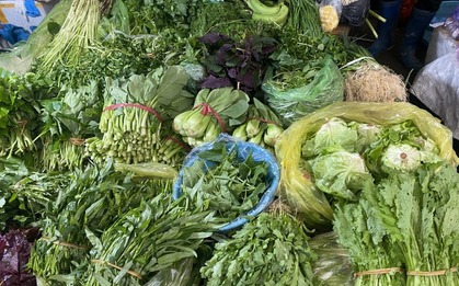 7 loại rau tươi ngon, dễ mua với giá rẻ quanh năm