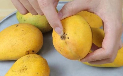 4 dấu hiệu nhận biết xoài chín ngọt tự nhiên, thịt dày, hạt lép