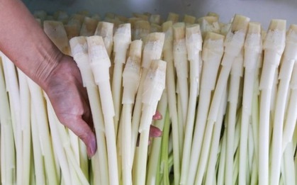 5 loại rau đặc sản miền Tây: Ăn 1 lần là nhớ mãi, đi chợ mà thấy phải MUA ngay