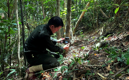 Nghe tiếng động lạ, người dân Thanh Hóa phát hiện loài vật quý hiếm sắp tuyệt chủng: Tưởng vô hại nhưng cực nguy hiểm, quyết định báo cảnh sát ngay