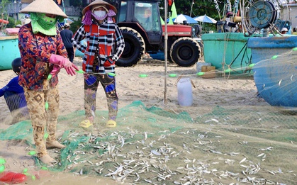 Hình ảnh ngư dân TP HCM trúng mùa cá mai "lộc trời"