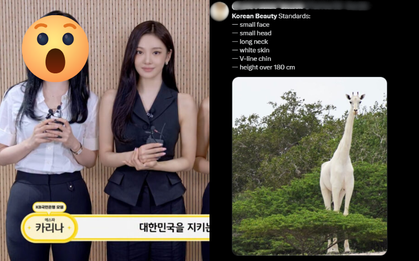Tiêu chuẩn sắc đẹp "dị dạng" của dân Hàn chỉ một idol đáp ứng được