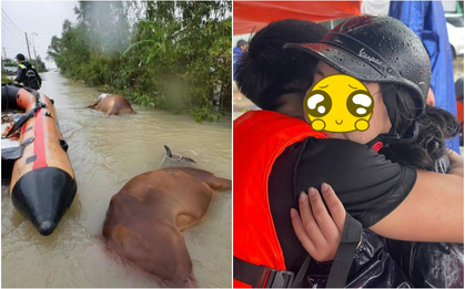 “Một lời vô tình cũng làm đau thêm một trái tim đang kiệt sức”: Người cứu hộ trong rốn lũ Hoà Thịnh lên tiếng