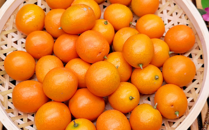 Mua trái cây mùa này, người khôn ngoan đều chọn 5 loại ngon bổ rẻ