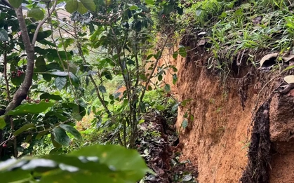 Quả đồi ở Lâm Đồng xuất hiện vết nứt dài hơn 100m, khẩn trương di dời người dân