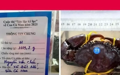 'Vua cua' Cà Mau suýt mất ngôi phút chót