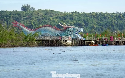 Du khách thích thú trải nghiệm rừng ngập mặn ở Đồ Sơn